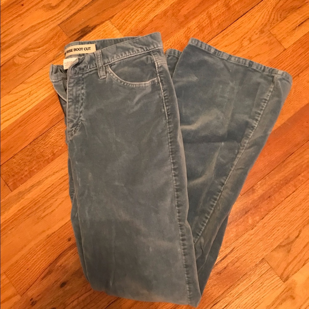 velvet low rise bootcut/flare jeans